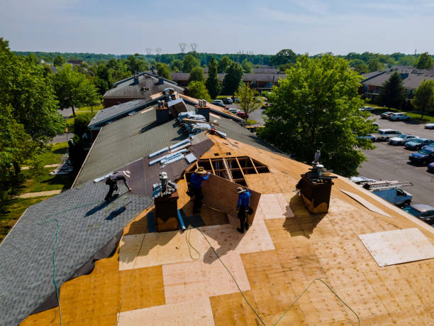Best Flat Roof Repair Services  in Gastonville, PA
